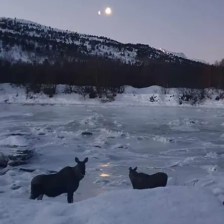 Beachhouse Sand (Troms)