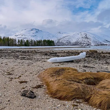 Nothern Light Beachhouse Sand (Troms)
