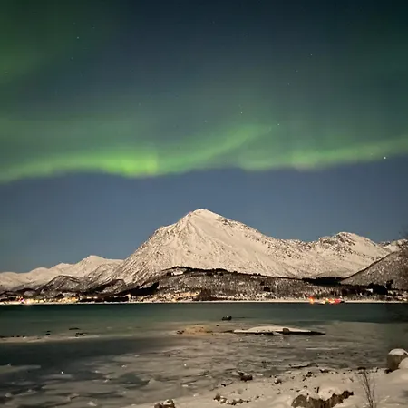 Feriehus Beachhouse *